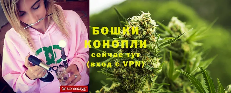 Бошки Шишки OG Kush  купить наркоту  Слободской 